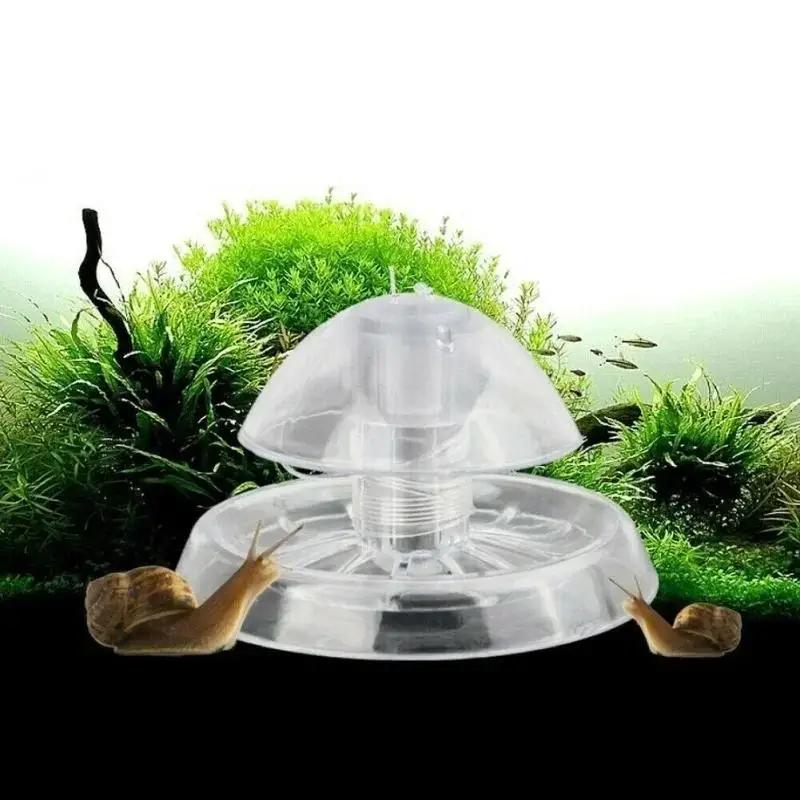 Planted Aquarium With Fish - 2026 Neu 6/8CM Klare Plastik-Schneckenfalle Aquarium