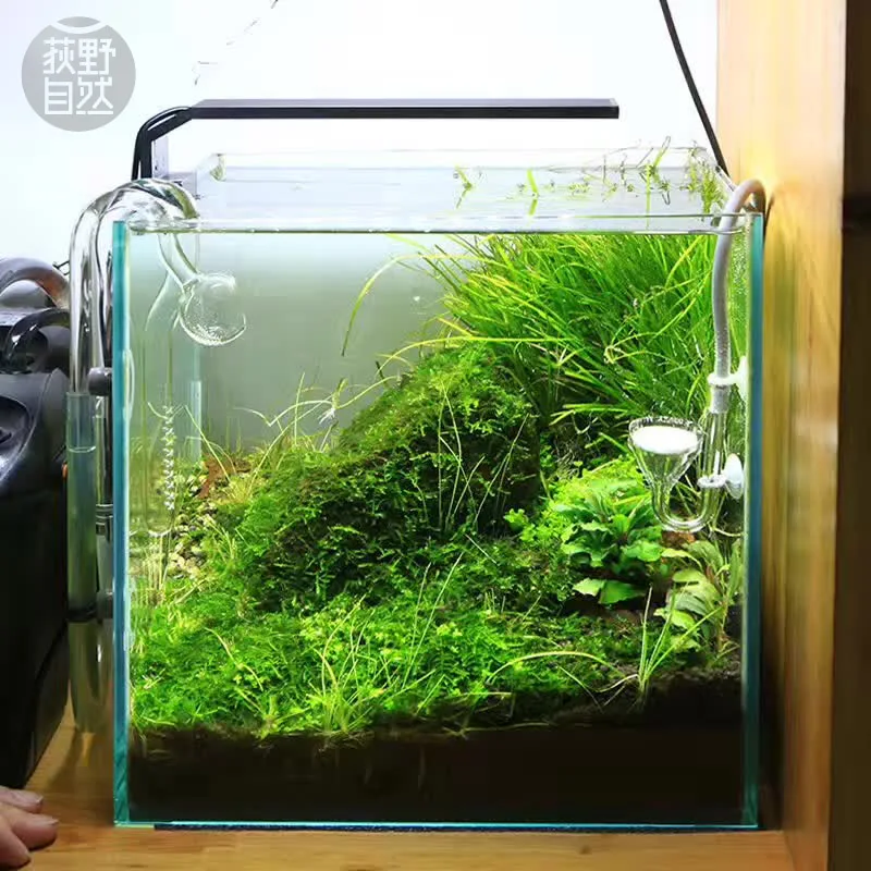 Aquarium Plant Growth Light - Spirituosen C-Serie ADA-Stil Pflanze wachsen LED-Licht