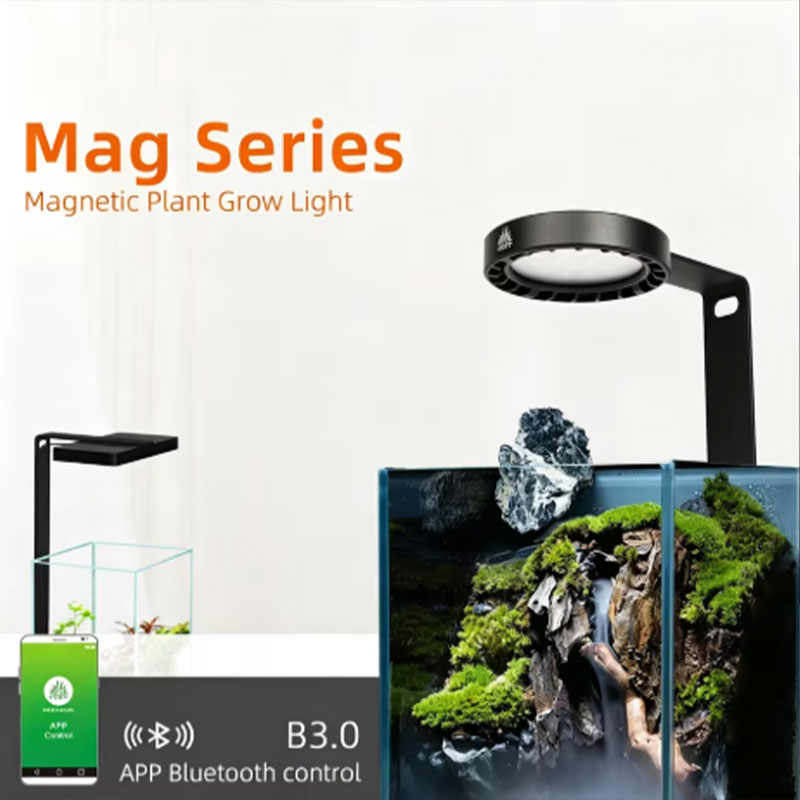 Planted Aquarium Aquascape - WEEK AQUA Mag Pro Mag Max