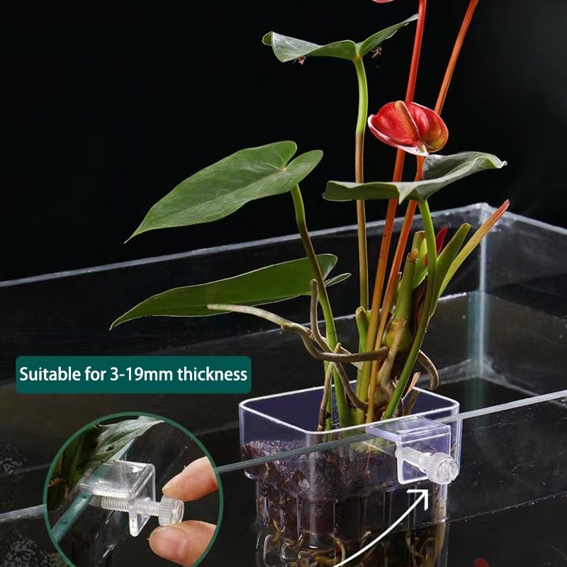 Planted Aquarium With Fish - Multifunktion ale Fisch Aquarium Wasser Gras