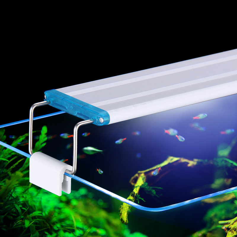 Ausziehbare wasserdichte Clip  – Aquarium Plant Iron Bewertung und Preis