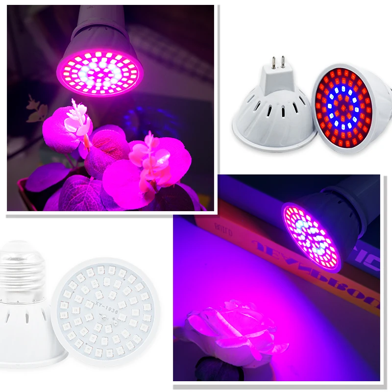 Phyto Lampe Vollspektrum LED W – Led Planted Tank Light Bewertung und Preis