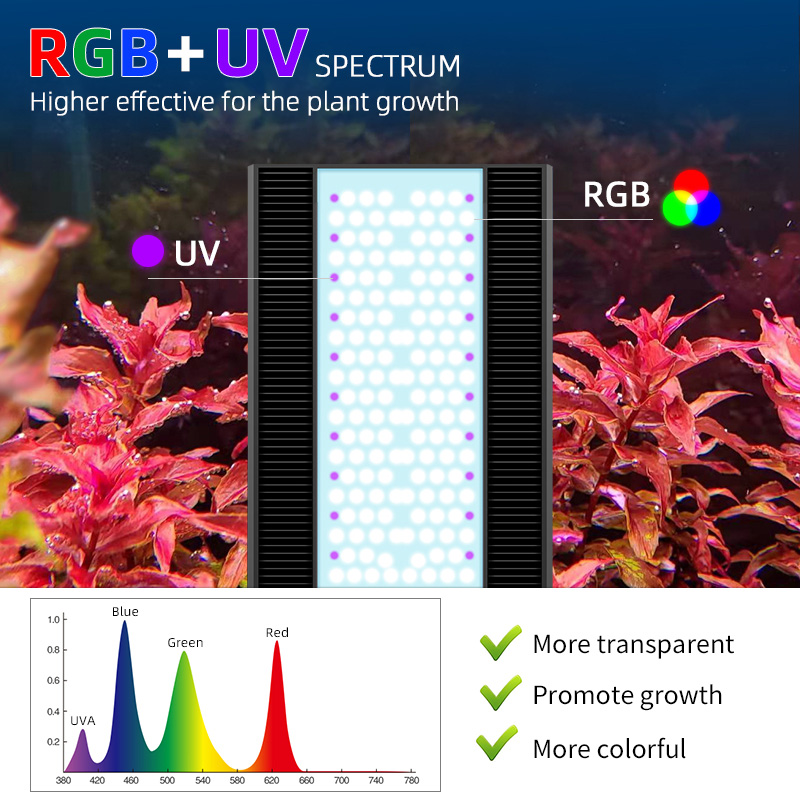Week Aqua A430Pro LED-Aquarium – Planted Aquarium Aquascape Bewertung und Preis