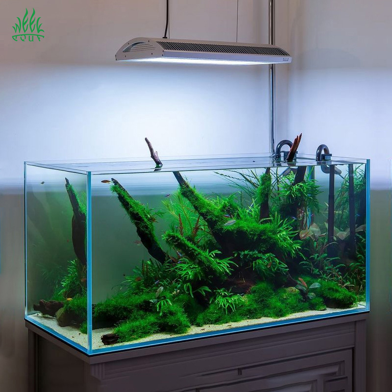 Week Aqua A430Pro LED-Aquarium – Planted Aquarium Aquascape Bewertung und Preis