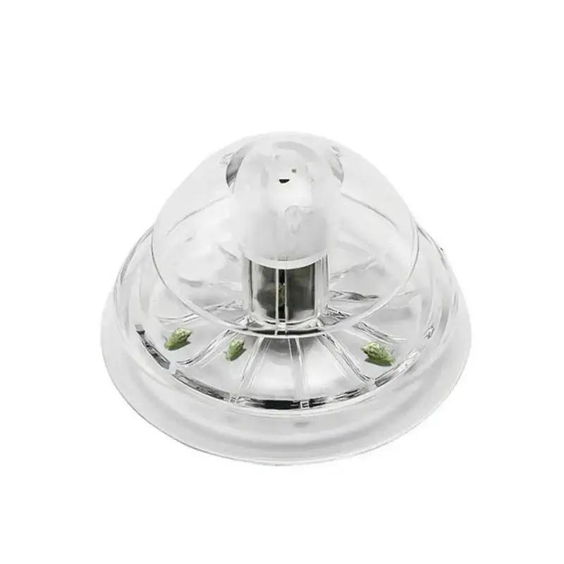 2026 Neu 6/8CM Klare Plastik-S – Planted Aquarium With Fish Bewertung und Preis