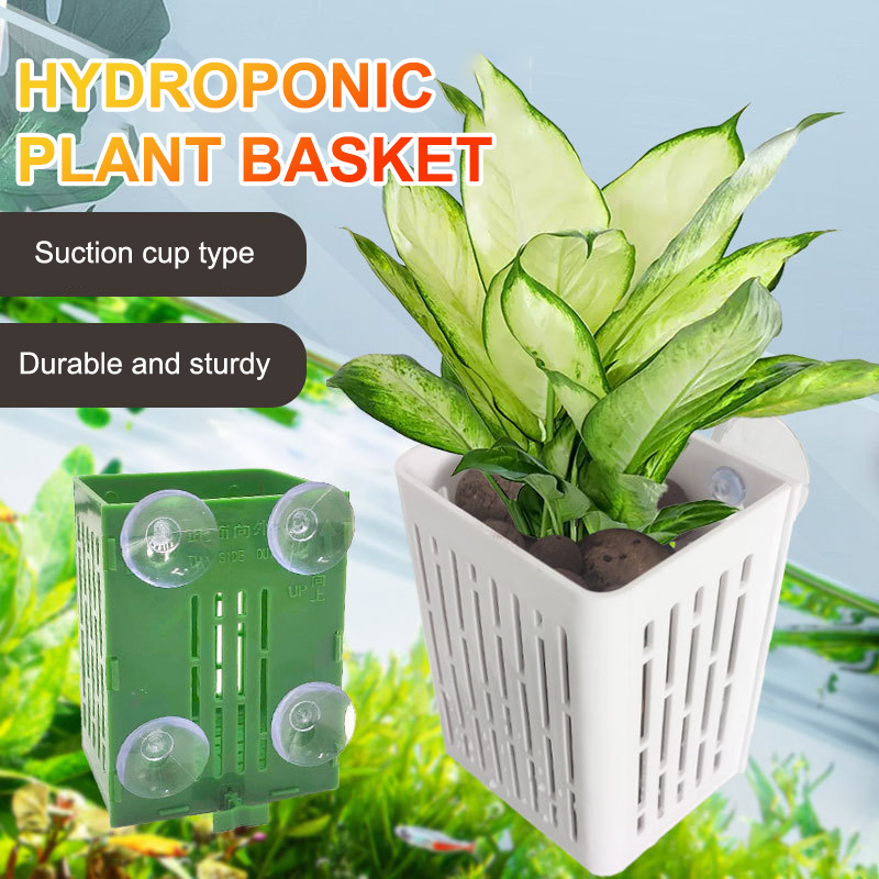 Hängende Saugnapf Haken Aquari – Planted Aquarium Aquascape Bewertung und Preis