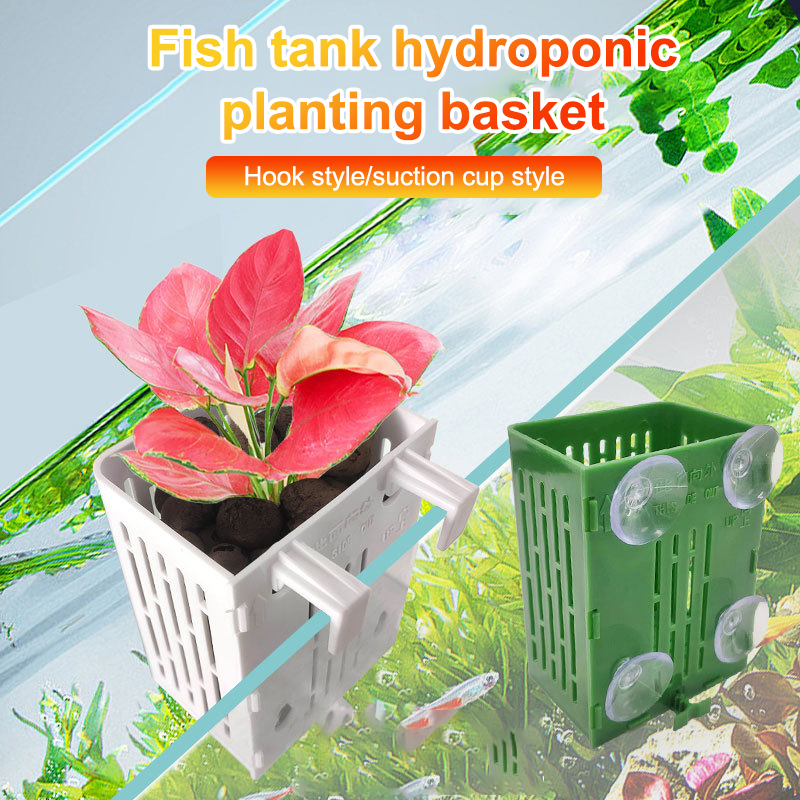 Hängende Saugnapf Haken Aquari – Planted Aquarium Aquascape Bewertung und Preis