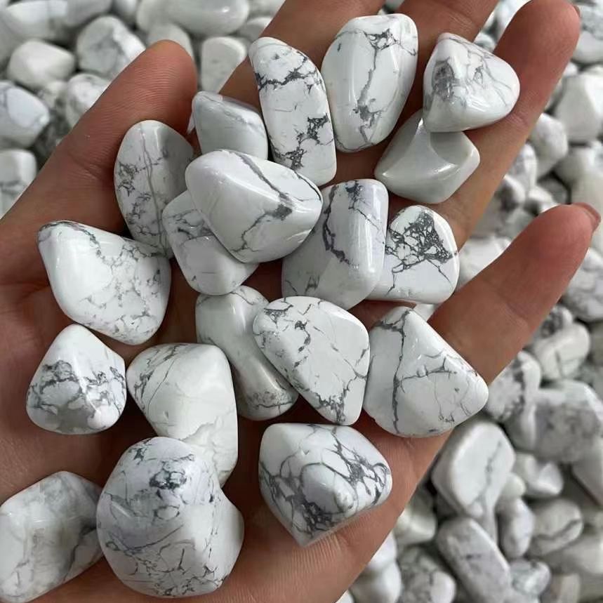 Natürlicher Weißer Türkis Rohs – Planted Aquarium With Gravel Bewertung und Preis