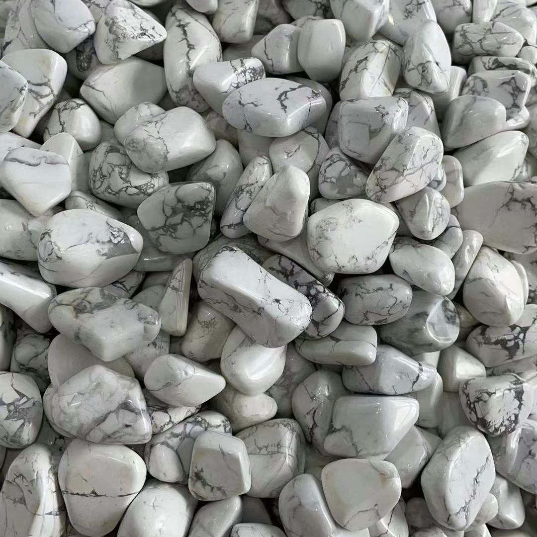 Natürlicher Weißer Türkis Rohs – Planted Aquarium With Gravel Bewertung und Preis