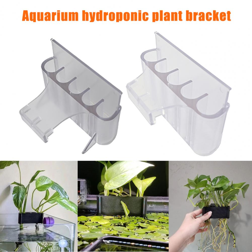 4,5/6,5 cm Aquarium Pflanzenha – Planted Aquarium With Fish Bewertung und Preis