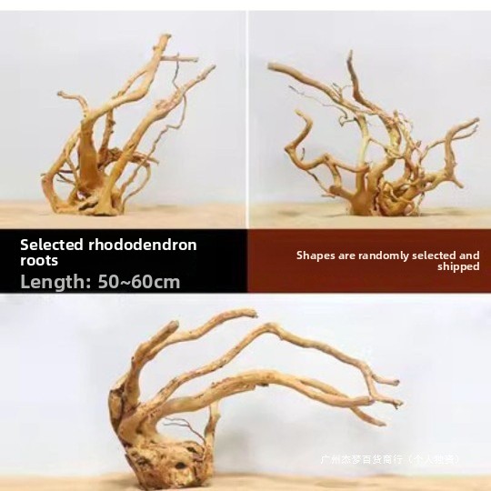 Natürliche Treibholzäste für d – Planted Aquarium With Fish Bewertung und Preis