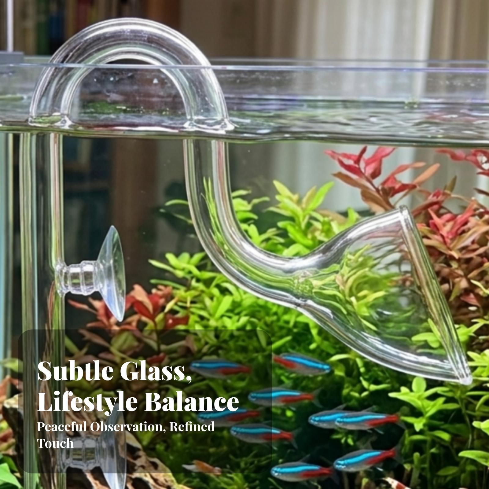 Aquarium-Filter Ein- und Ausla – Planted Aquarium Aquascape Bewertung und Preis