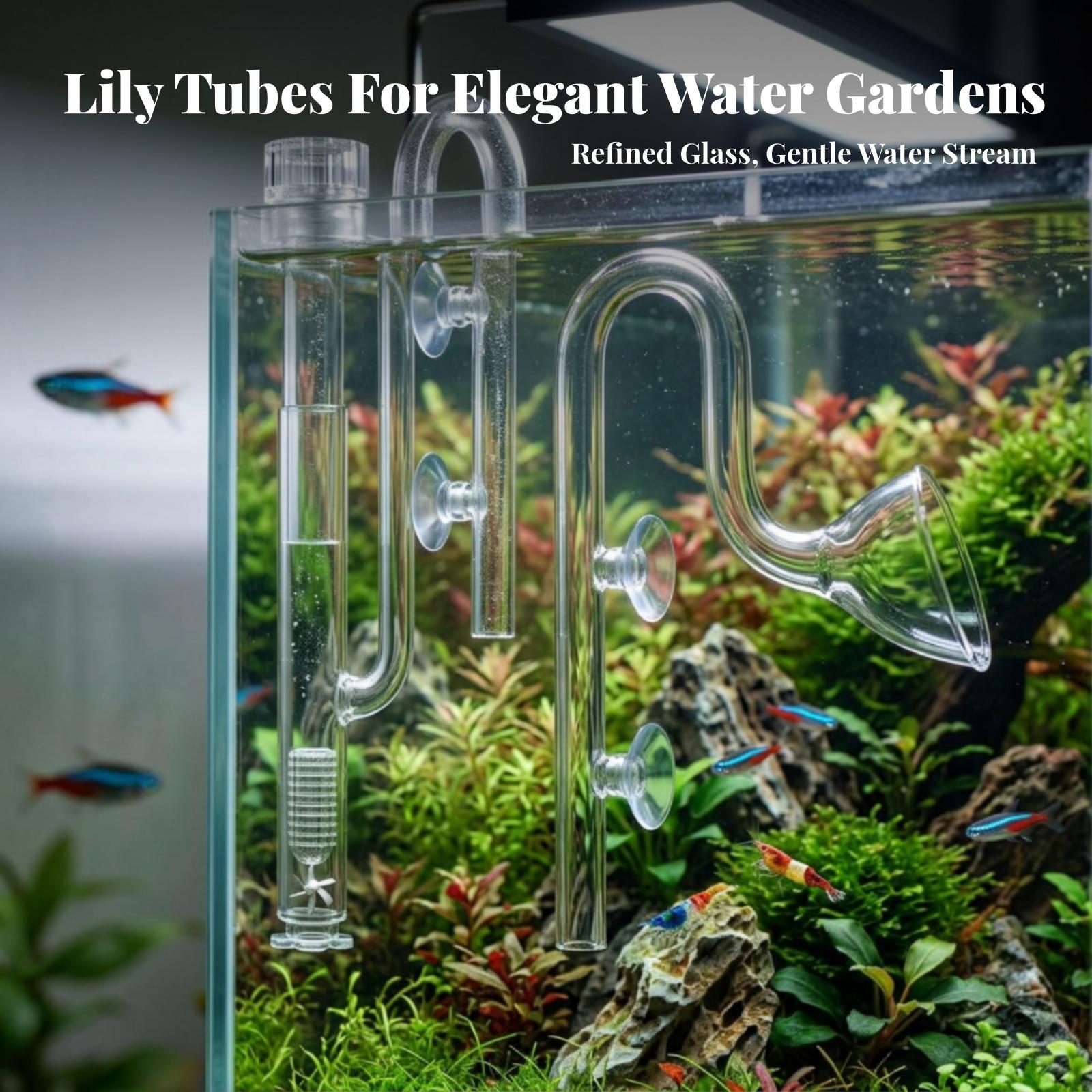 Aquarium-Filter Ein- und Ausla – Planted Aquarium Aquascape Bewertung und Preis