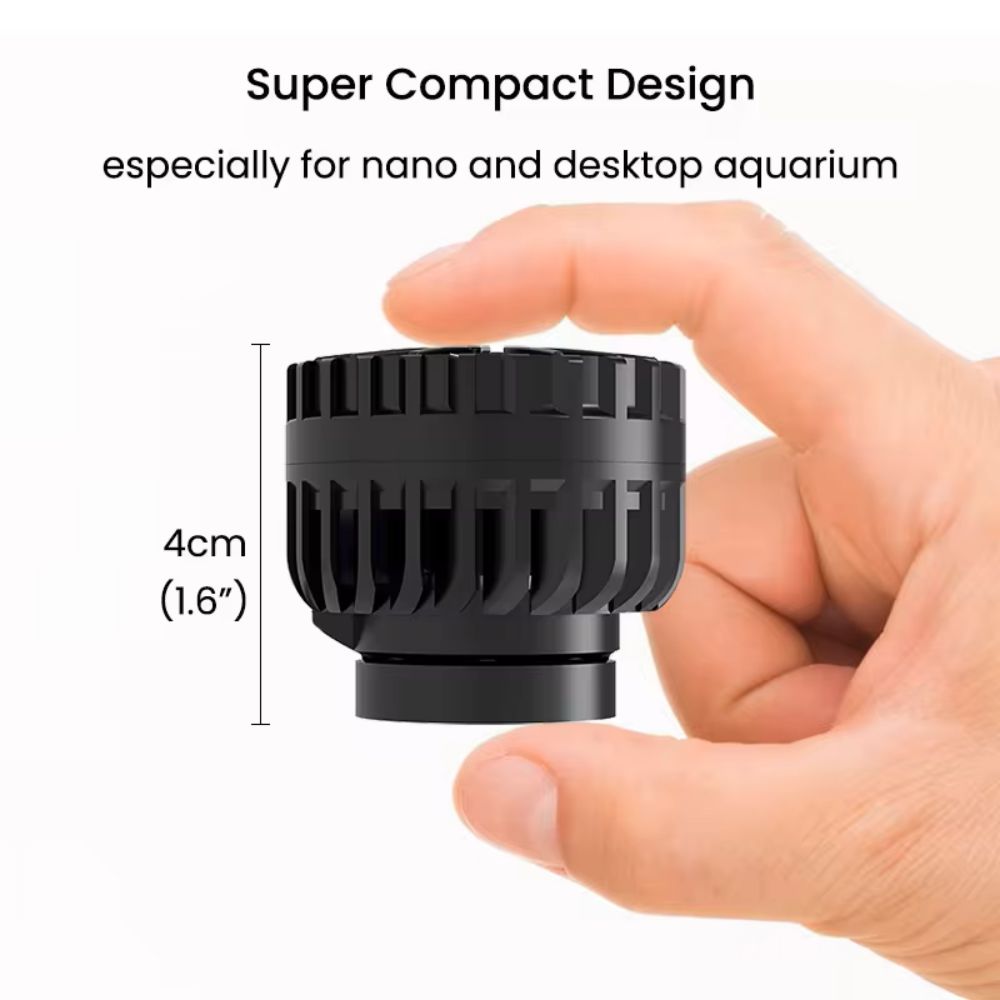 ZKSJ Dritte Generation Mini Sl – Aquarium Plant Iron Bewertung und Preis