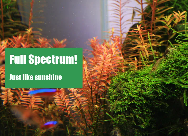 Spirituosen C-Serie ADA-Stil P – Aquarium Plant Growth Light Bewertung und Preis