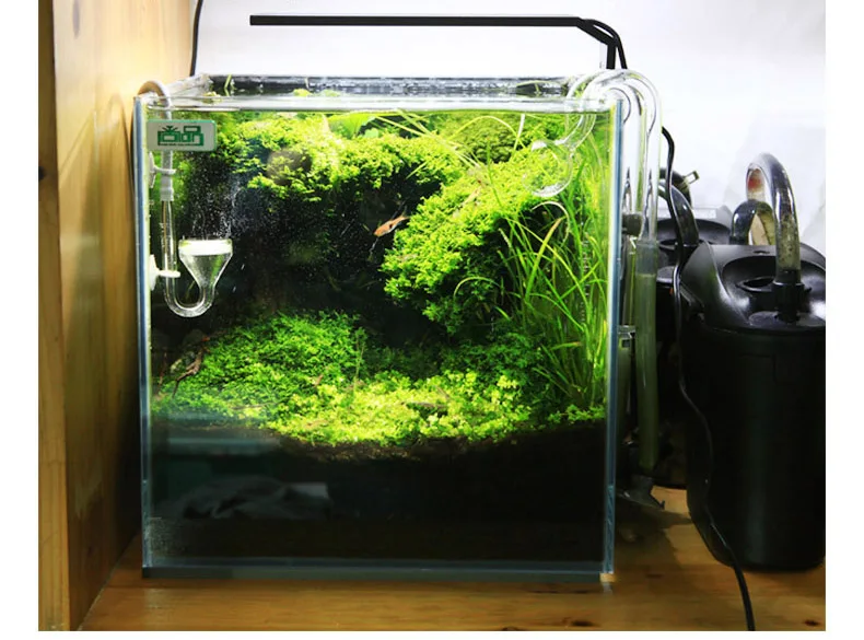 Spirituosen C-Serie ADA-Stil P – Aquarium Plant Growth Light Bewertung und Preis