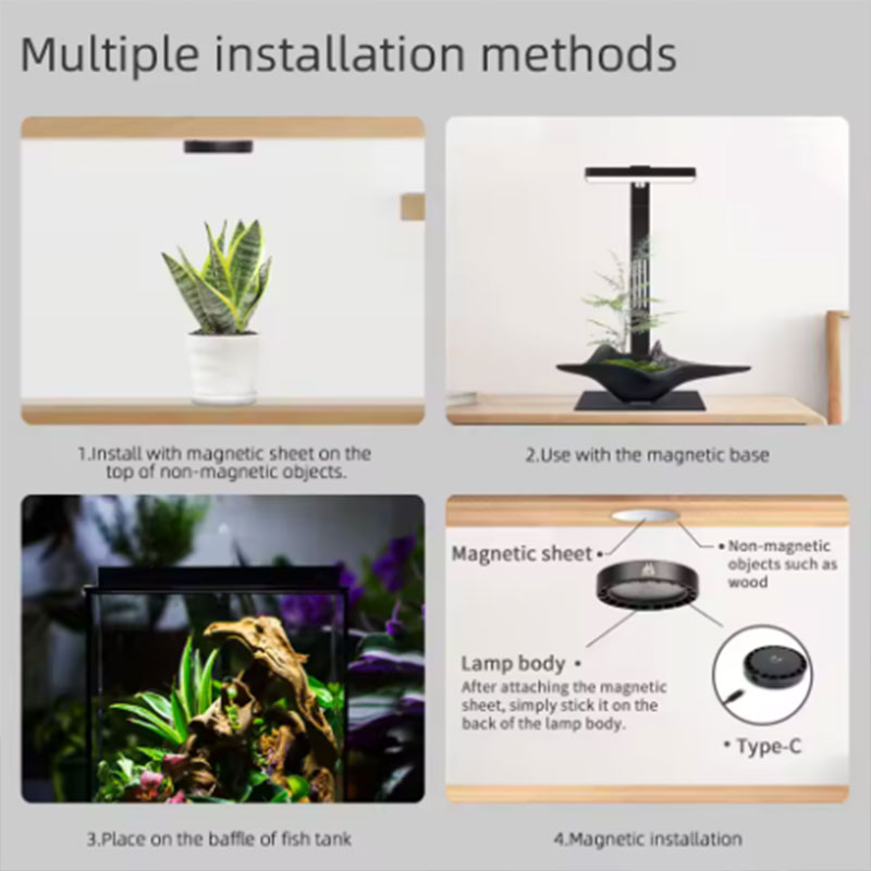 WEEK AQUA Mag Pro Mag Max Nano – Planted Aquarium Aquascape Bewertung und Preis