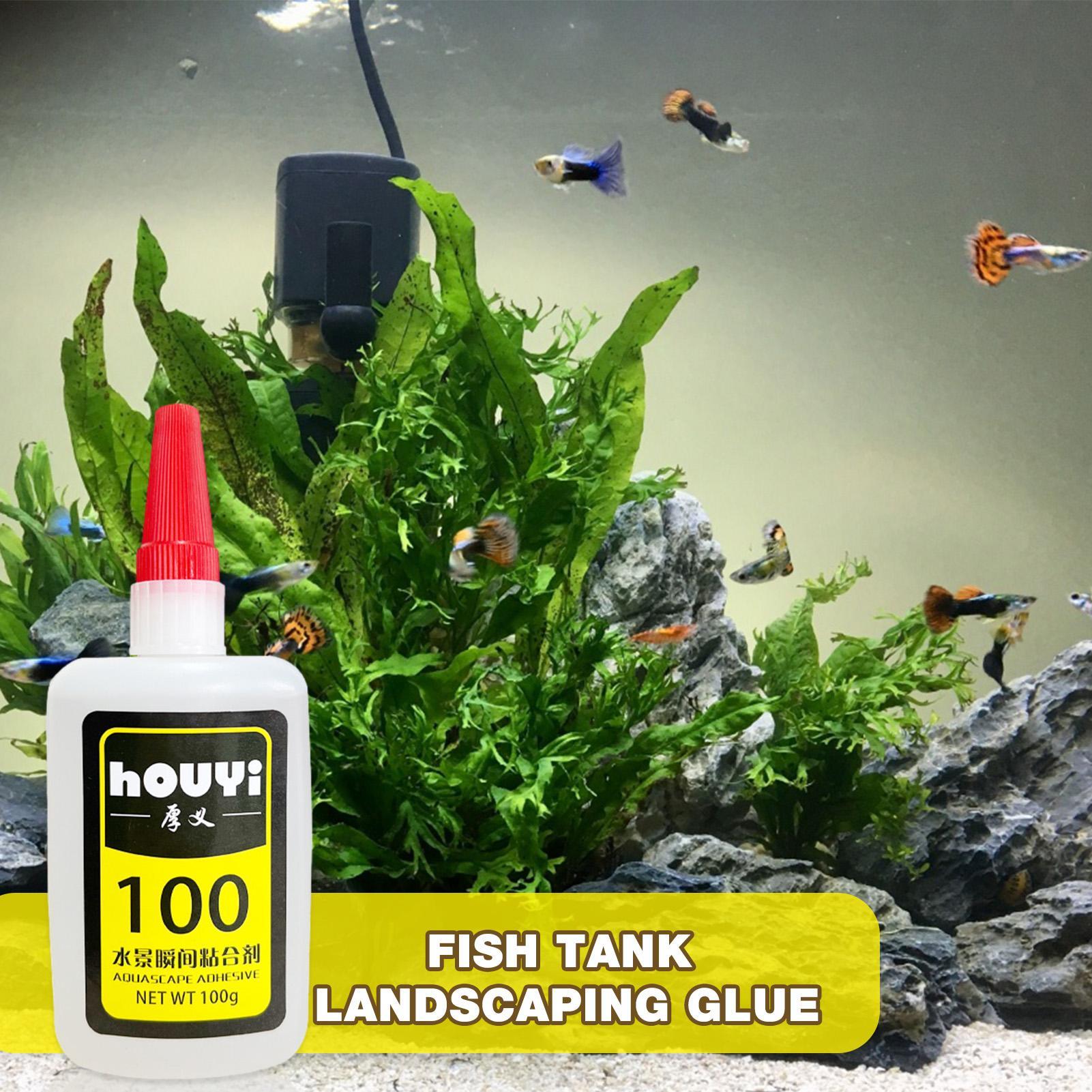 50/100 g klarer Sofortkleber,  – Planted Aquarium Aquascape Bewertung und Preis