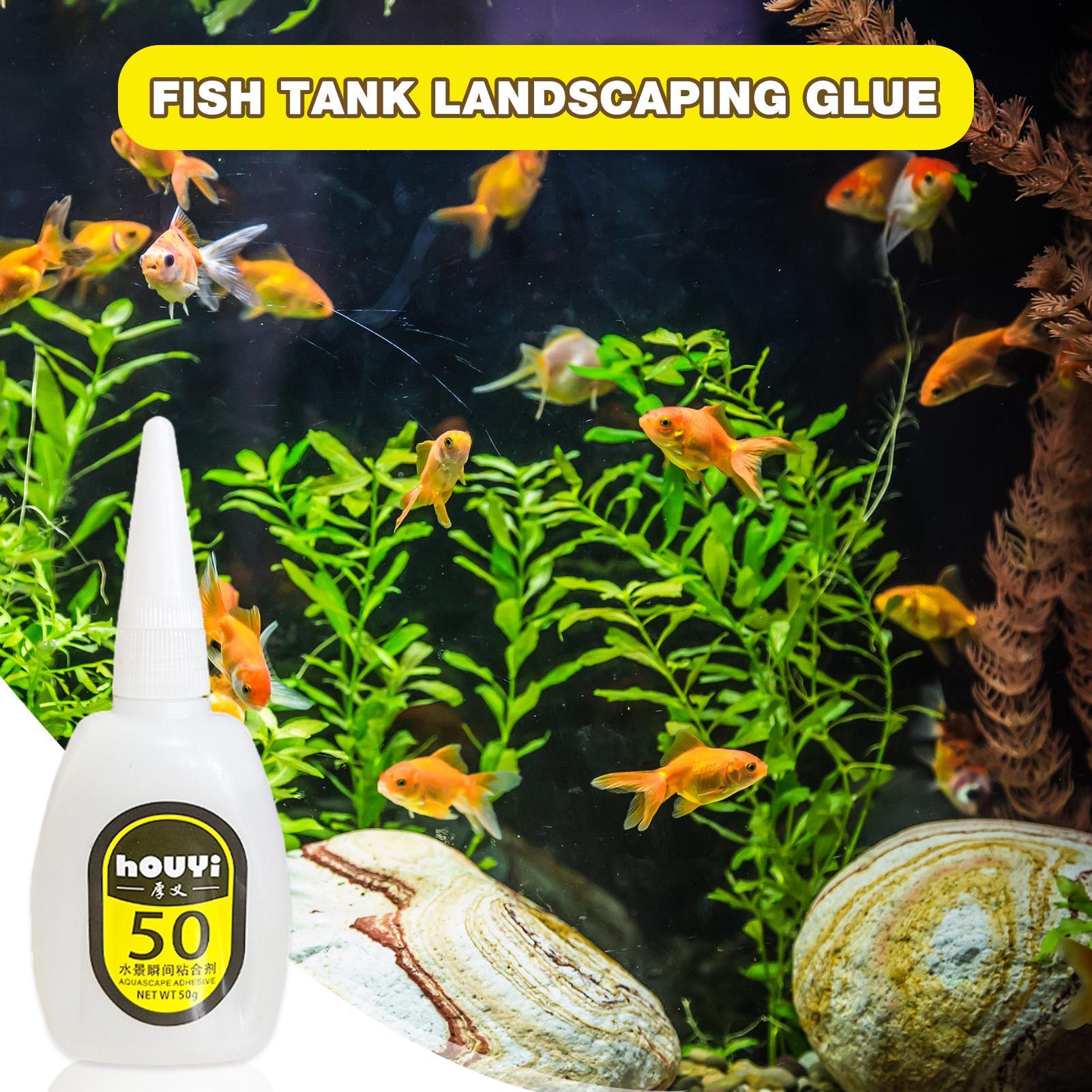 50/100 g klarer Sofortkleber,  – Planted Aquarium Aquascape Bewertung und Preis