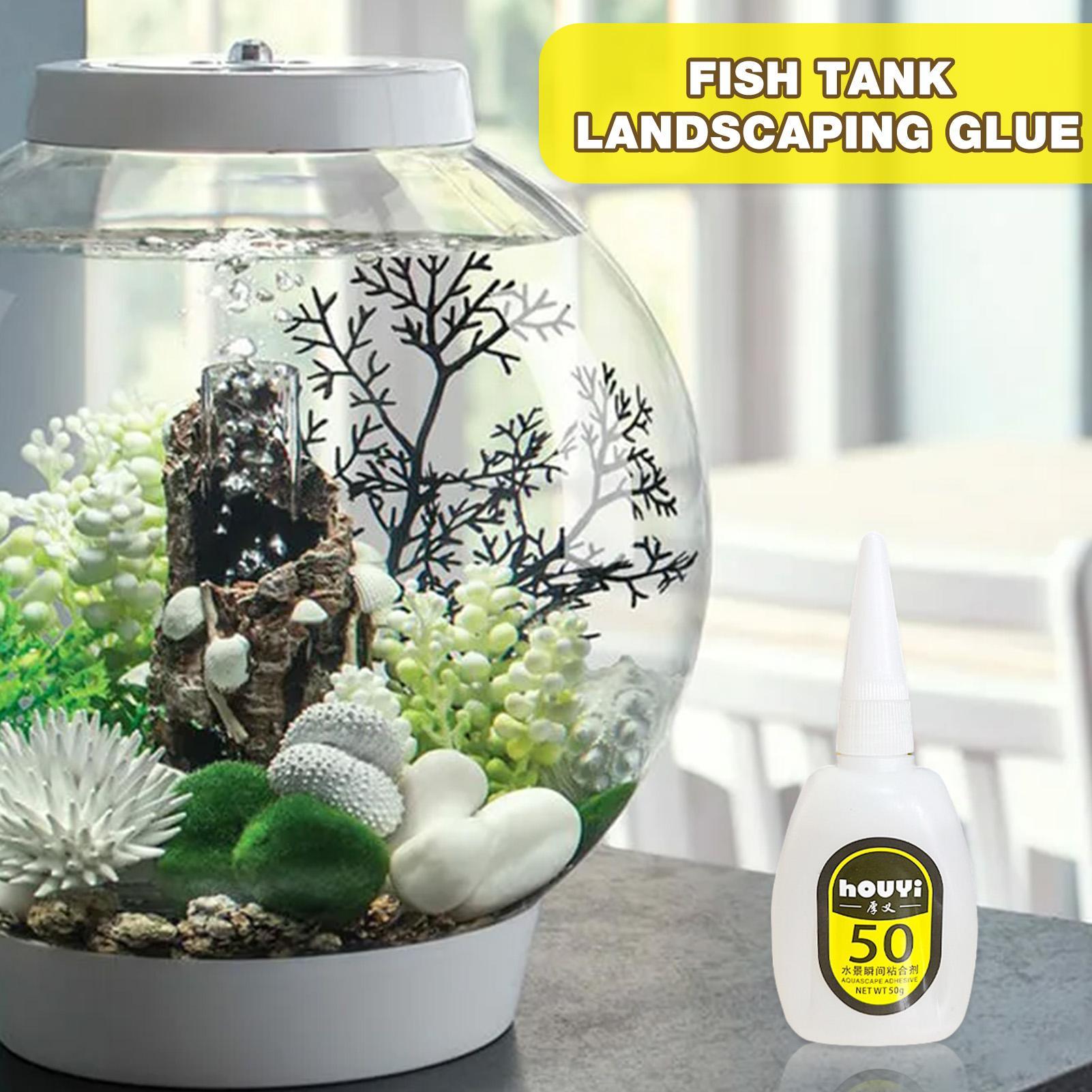 50/100 g klarer Sofortkleber,  – Planted Aquarium Aquascape Bewertung und Preis