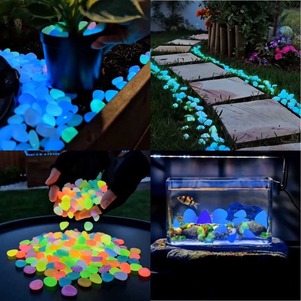 Bunte, im Dunkeln leuchtende K – Planted Aquarium With Fish Bewertung und Preis