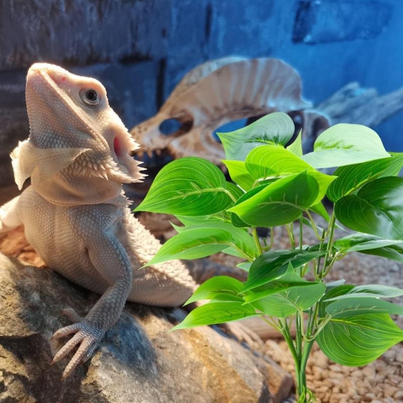 Künstliche hängende Pflanze Fi – Planted Aquarium With Fish Bewertung und Preis