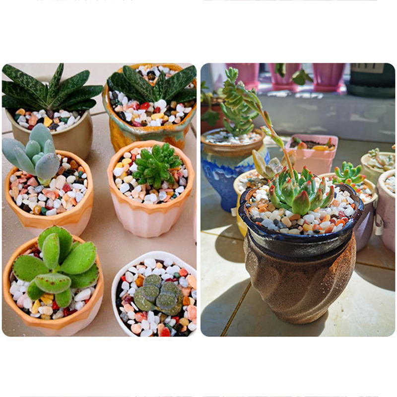Natürlicher Kiesstein, 200–100 – Planted Aquarium With Gravel Bewertung und Preis
