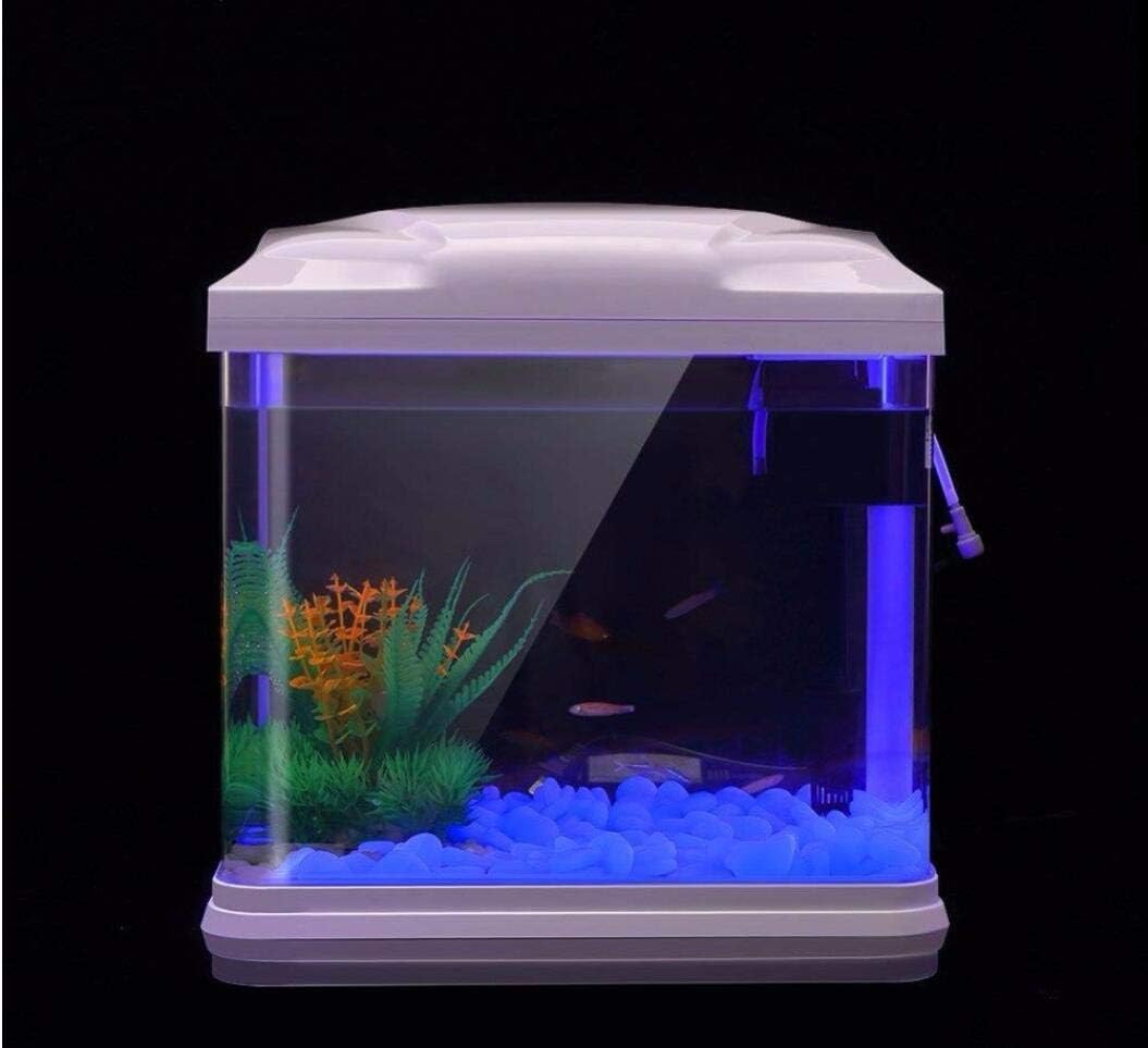 Aquarium-Felsen leuchten blaue – Planted Aquarium With Fish Bewertung und Preis