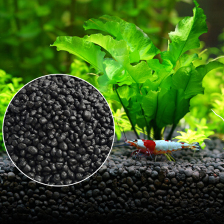 Aquarium Pflanzen Samen Boden  – Planted Aquarium With Fish Bewertung und Preis