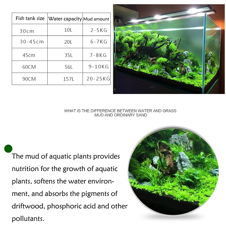 Aquarium Pflanzen Samen Boden  – Planted Aquarium With Fish Bewertung und Preis