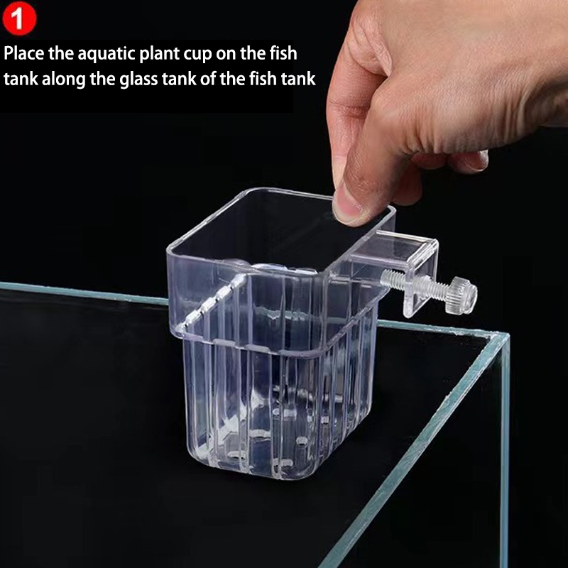 Multifunktion ale Fisch Aquari – Planted Aquarium With Fish Bewertung und Preis