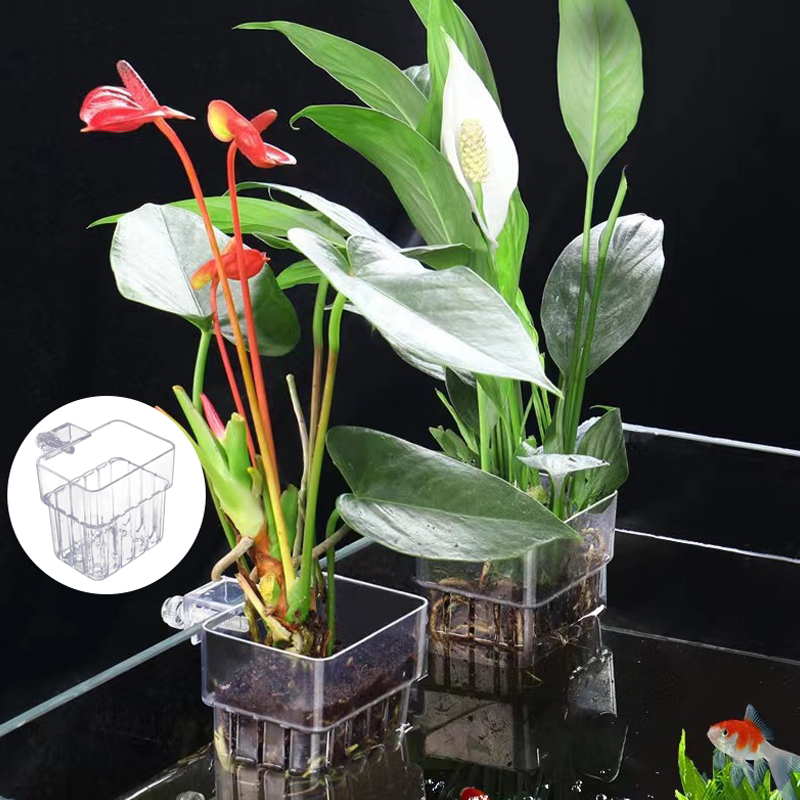 Multifunktion ale Fisch Aquari – Planted Aquarium With Fish Bewertung und Preis