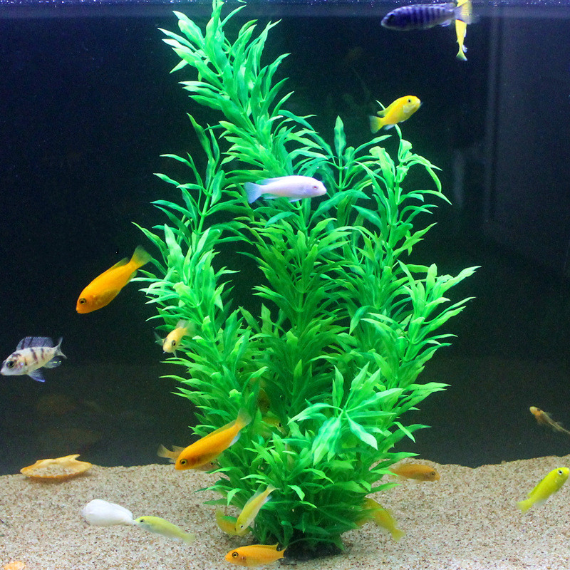 50CM Künstliche Aquarium Selte – Planted Aquarium With Fish Bewertung und Preis