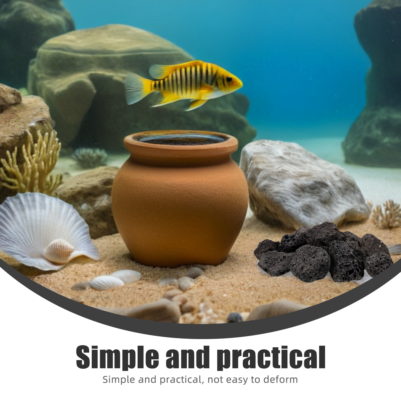 1 Packung Natürliche Vulkanste – Planted Aquarium With Fish Bewertung und Preis