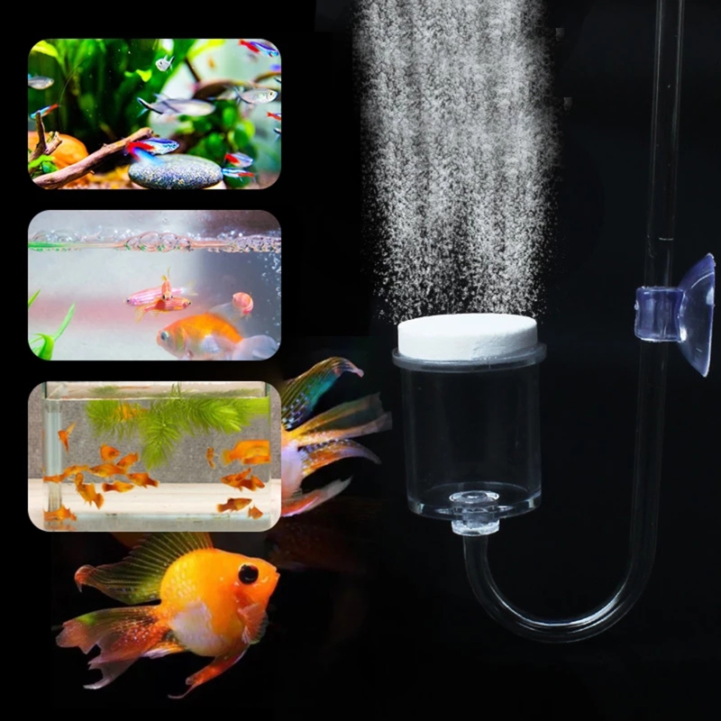 4 stücke Set DIY CO2-Diffusor  – Planted Aquarium Aquascape Bewertung und Preis