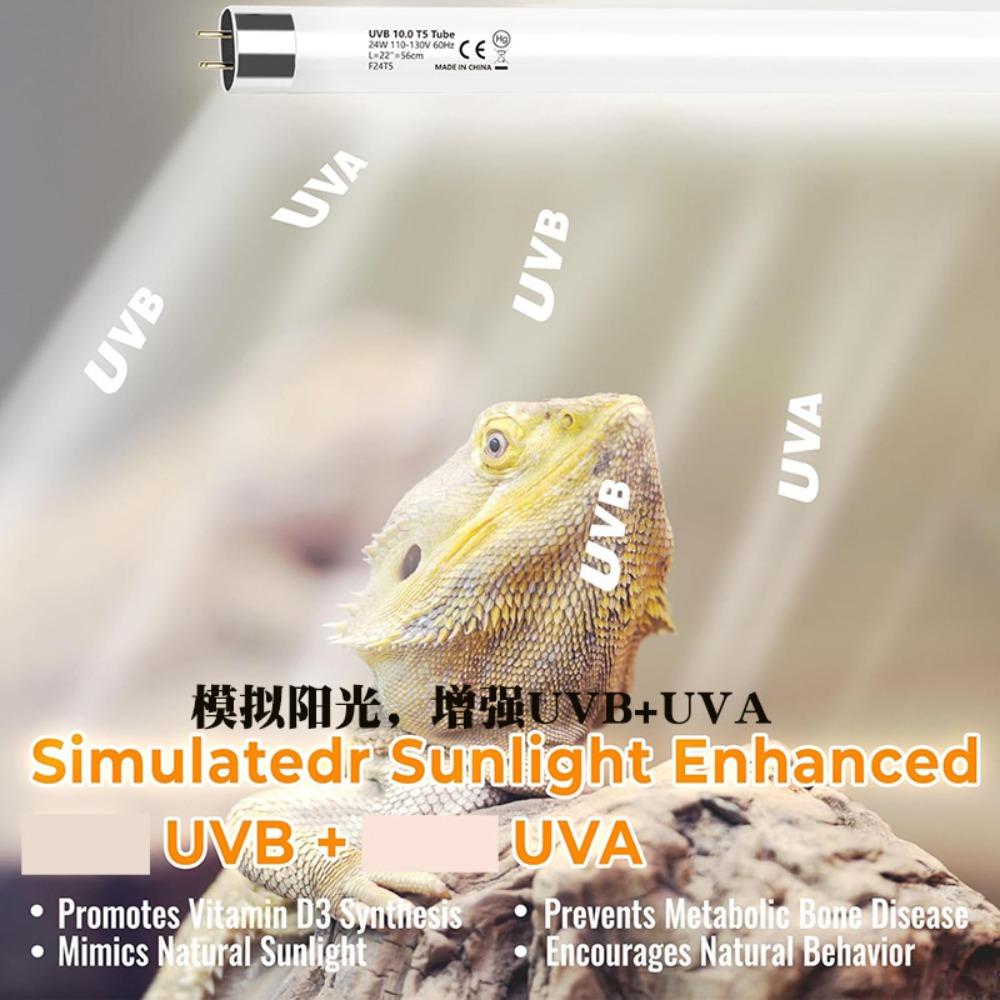 Pflanzte und Reptilien-Terrari – Led Planted Tank Light Bewertung und Preis